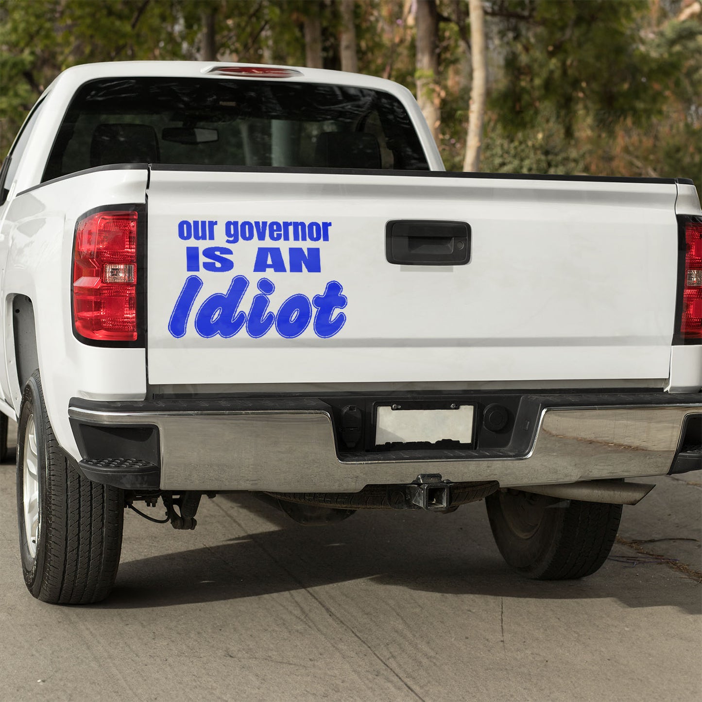Our governor is an idiot vinyl decal car decal decal for cars decal for trucks Decals for cars Decals for Trucks decals for tumblers decals for vehicles door decal funny decals Window decals