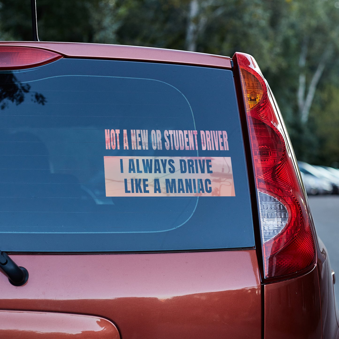 Not a new or student driver, I always drive like a maniac Vinyl decal All decal stickers Decals for cars Decals for Trucks FB minivan sticker new driver SUV decals truck decals window decal car Window decals window decor