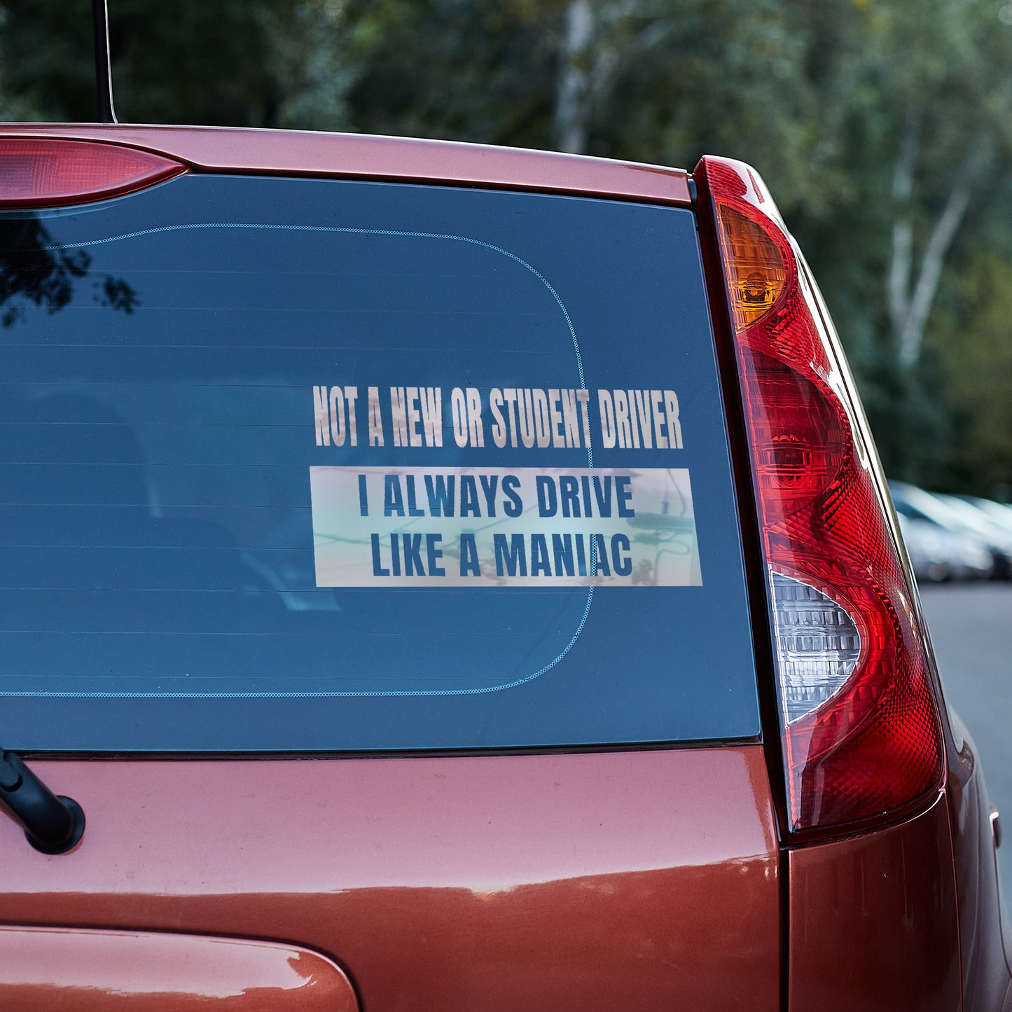 Not a new or student driver, I always drive like a maniac Vinyl decal All decal stickers Decals for cars Decals for Trucks FB minivan sticker new driver SUV decals truck decals window decal car Window decals window decor