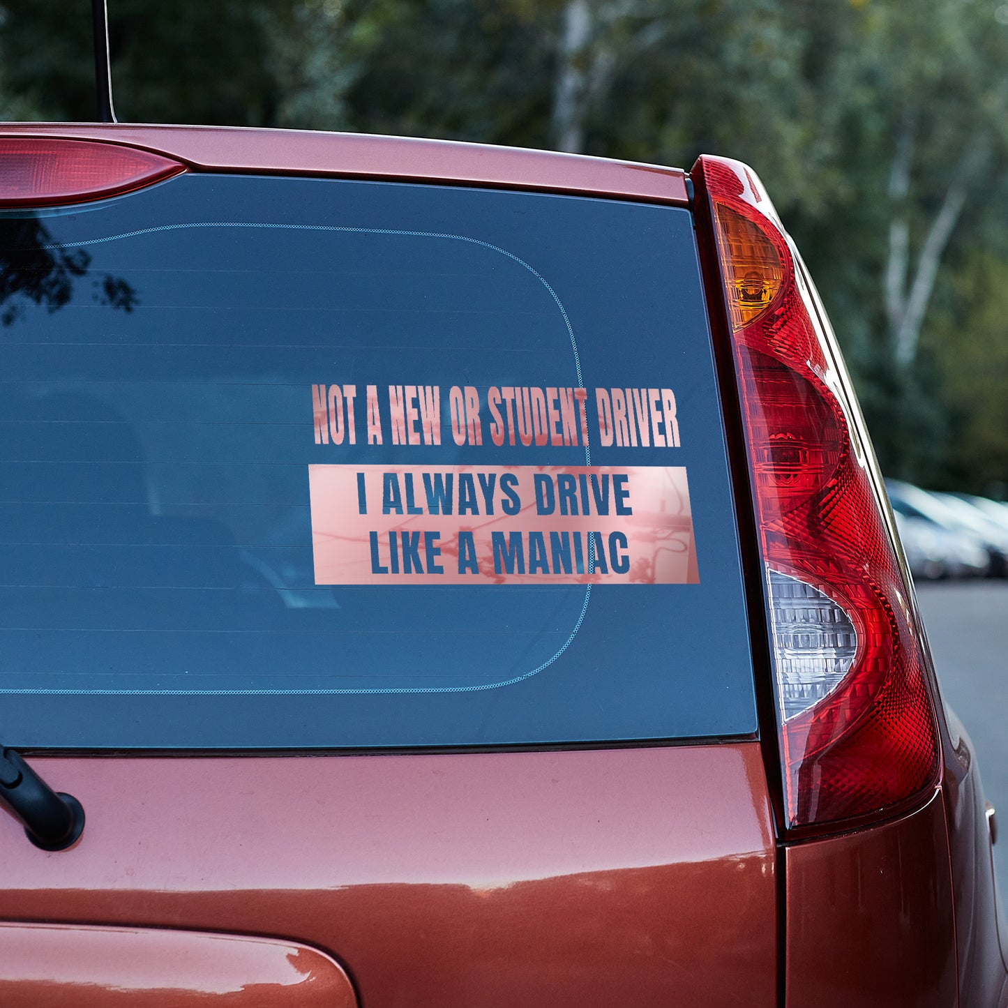 Not a new or student driver, I always drive like a maniac Vinyl decal All decal stickers Decals for cars Decals for Trucks FB minivan sticker new driver SUV decals truck decals window decal car Window decals window decor