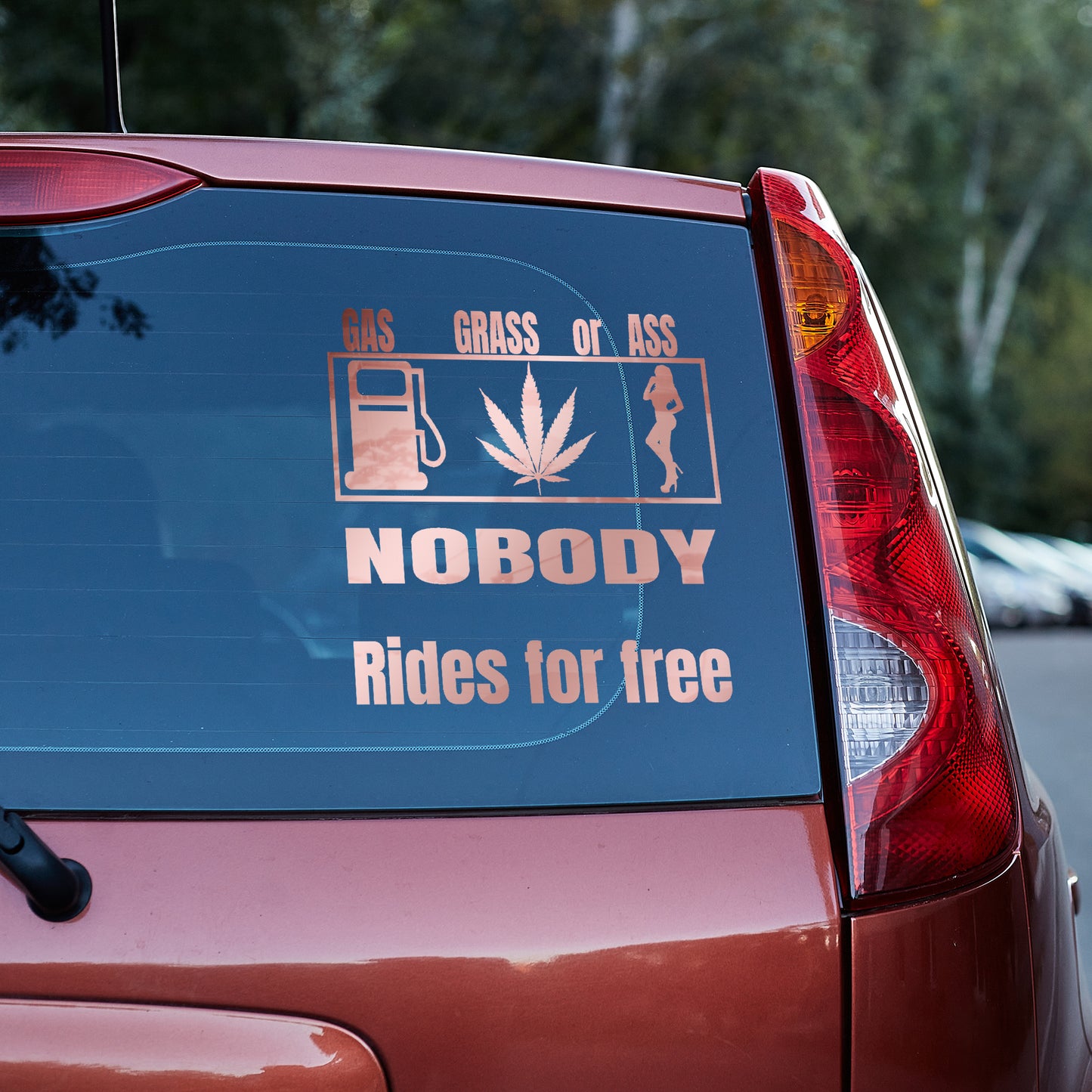 Gas Grass or Ass, nobody rides for free vinyl decal All decal stickers Decals for cars Decals for Trucks decals for tumblers FB gift for her gift for him minivan sticker SUV decals truck decals window decal car Window decals window decor
