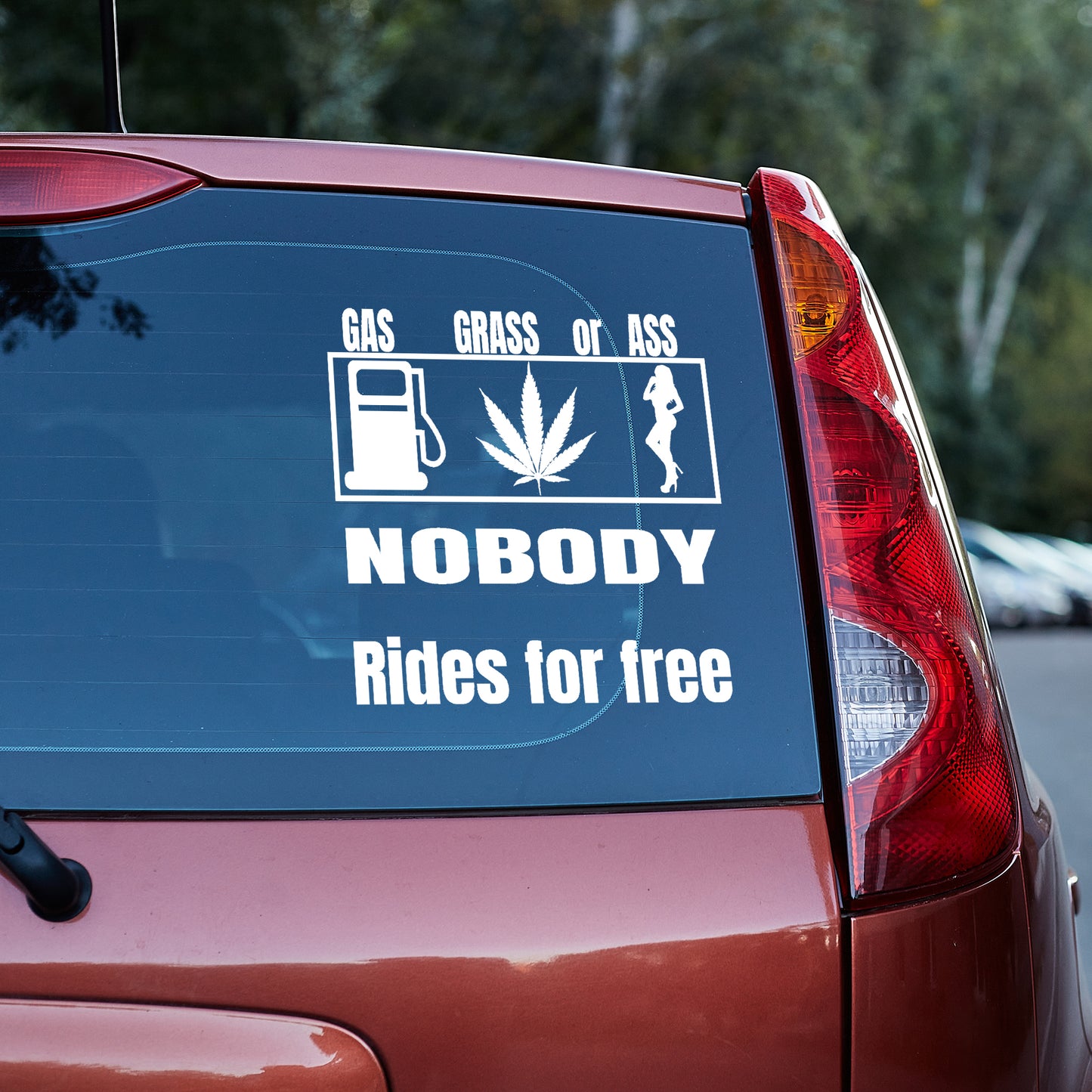 Gas Grass or Ass, nobody rides for free vinyl decal All decal stickers Decals for cars Decals for Trucks decals for tumblers FB gift for her gift for him minivan sticker SUV decals truck decals window decal car Window decals window decor