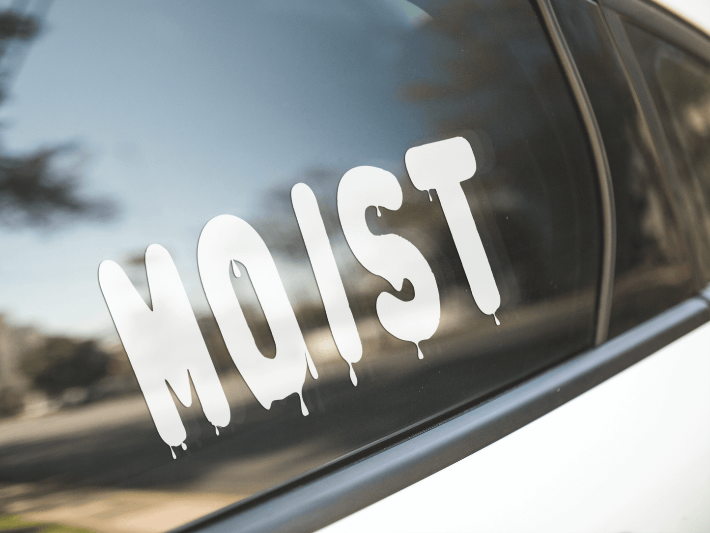 Moist Vinyl decal- Funny sticker, car décor, car accessory, decor, funny gift, sticker, decal, window sticker, Car Sticker, Funny All car decal car sticker Die cut stickers door decal FB funny sticker funny stickers Kiss cut stickers meme sticker minivan Peel and stick stickers sticker Sticker design stickers Vinyl decals vinyl sticker Vinyl stickers water proof sticker window decal window sticker