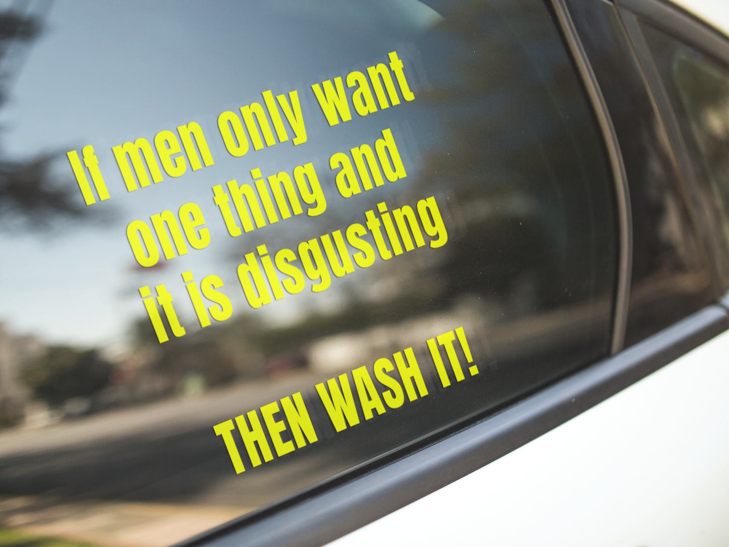 If men only want one thing and it's disgusting, then WASH IT - Vinyl decal All bumper sticker car sticker computer sticker Die cut stickers FB funny sticker funny stickers LOL sticker sarcastic sticker sticker Sticker design Sticker Shop stickers vinyl sticker Vinyl stickers water proof sticker window sticker