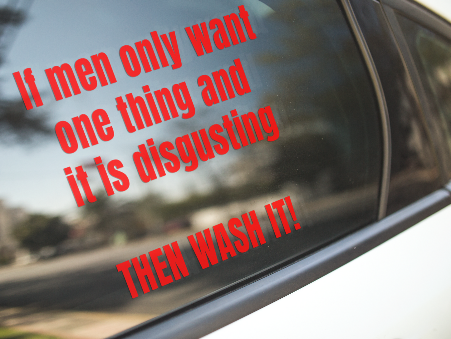 If men only want one thing and it's disgusting, then WASH IT - Vinyl decal All bumper sticker car sticker computer sticker Die cut stickers FB funny sticker funny stickers LOL sticker sarcastic sticker sticker Sticker design Sticker Shop stickers vinyl sticker Vinyl stickers water proof sticker window sticker