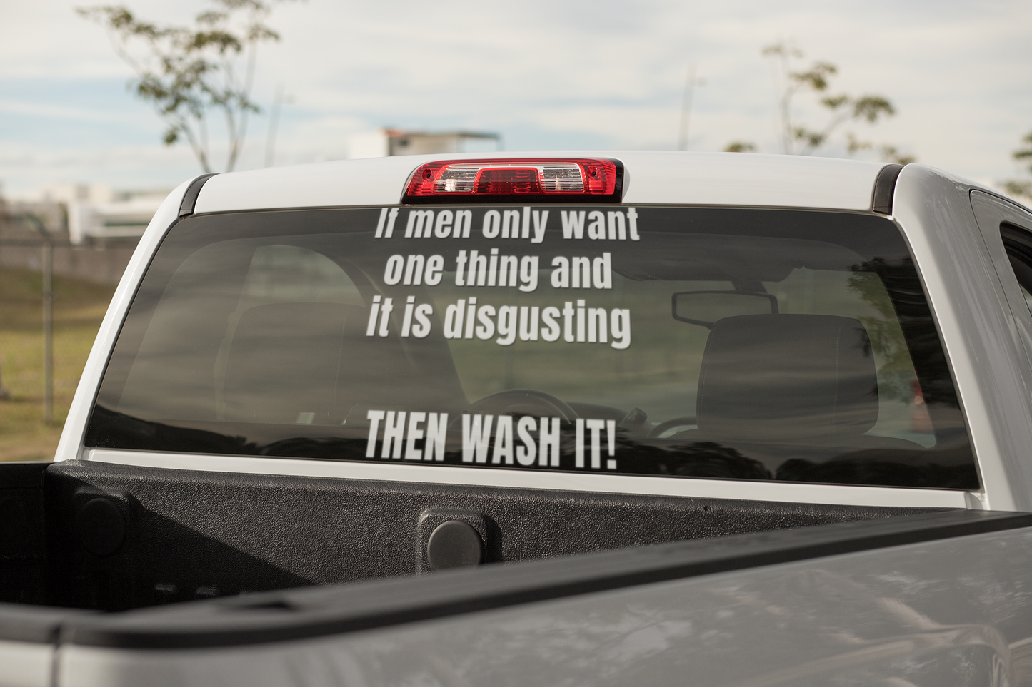 If men only want one thing and it's disgusting, then WASH IT - Vinyl decal All bumper sticker car sticker computer sticker Die cut stickers FB funny sticker funny stickers LOL sticker sarcastic sticker sticker Sticker design Sticker Shop stickers vinyl sticker Vinyl stickers water proof sticker window sticker
