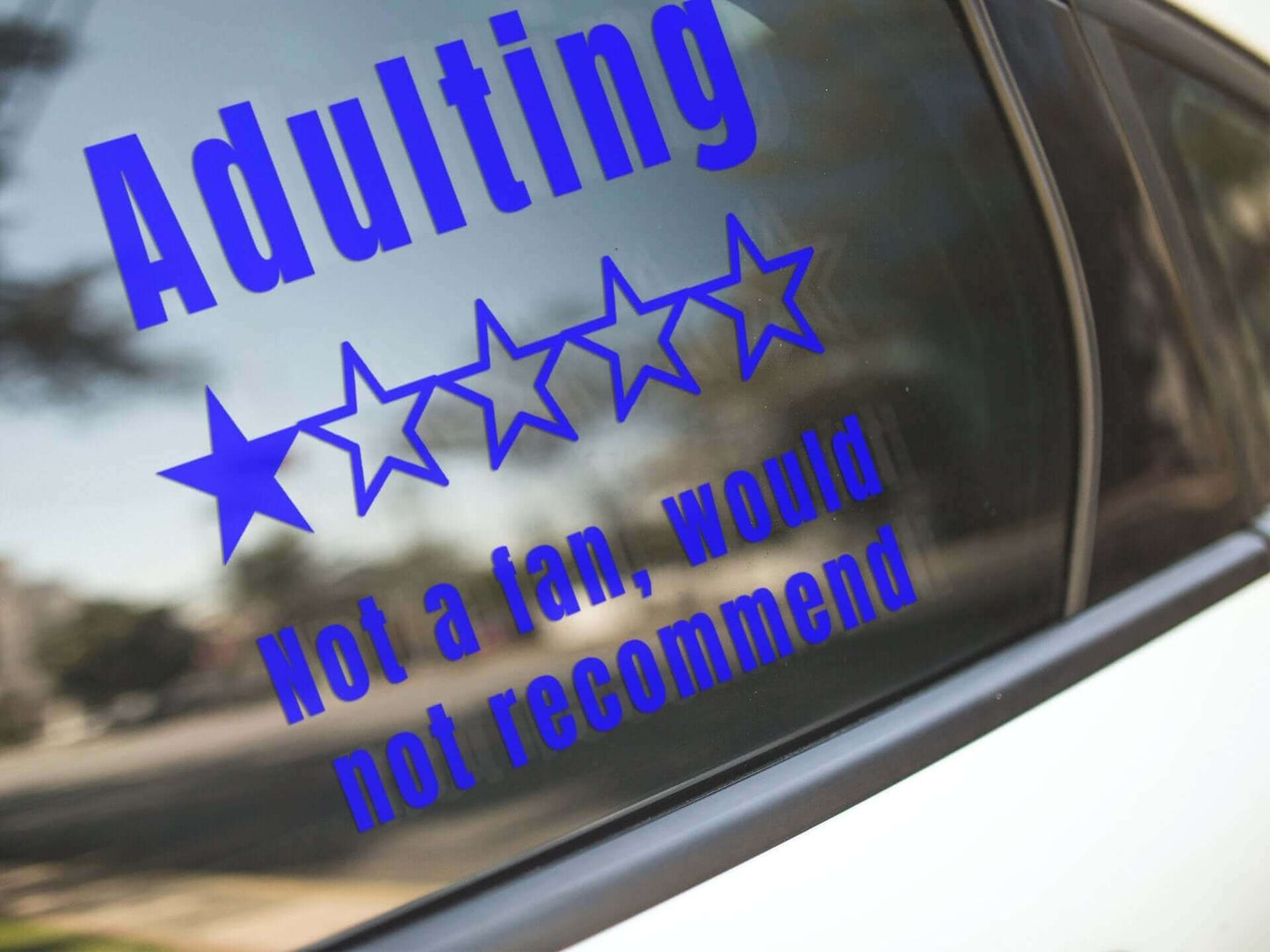 Adulting. Not a fan, would not recommend - Vinyl decal adult adulting adulting not a fan All Die cut stickers FB funny sticker meme sticker sticker stickers vinyl sticker water proof sticker would not recommend