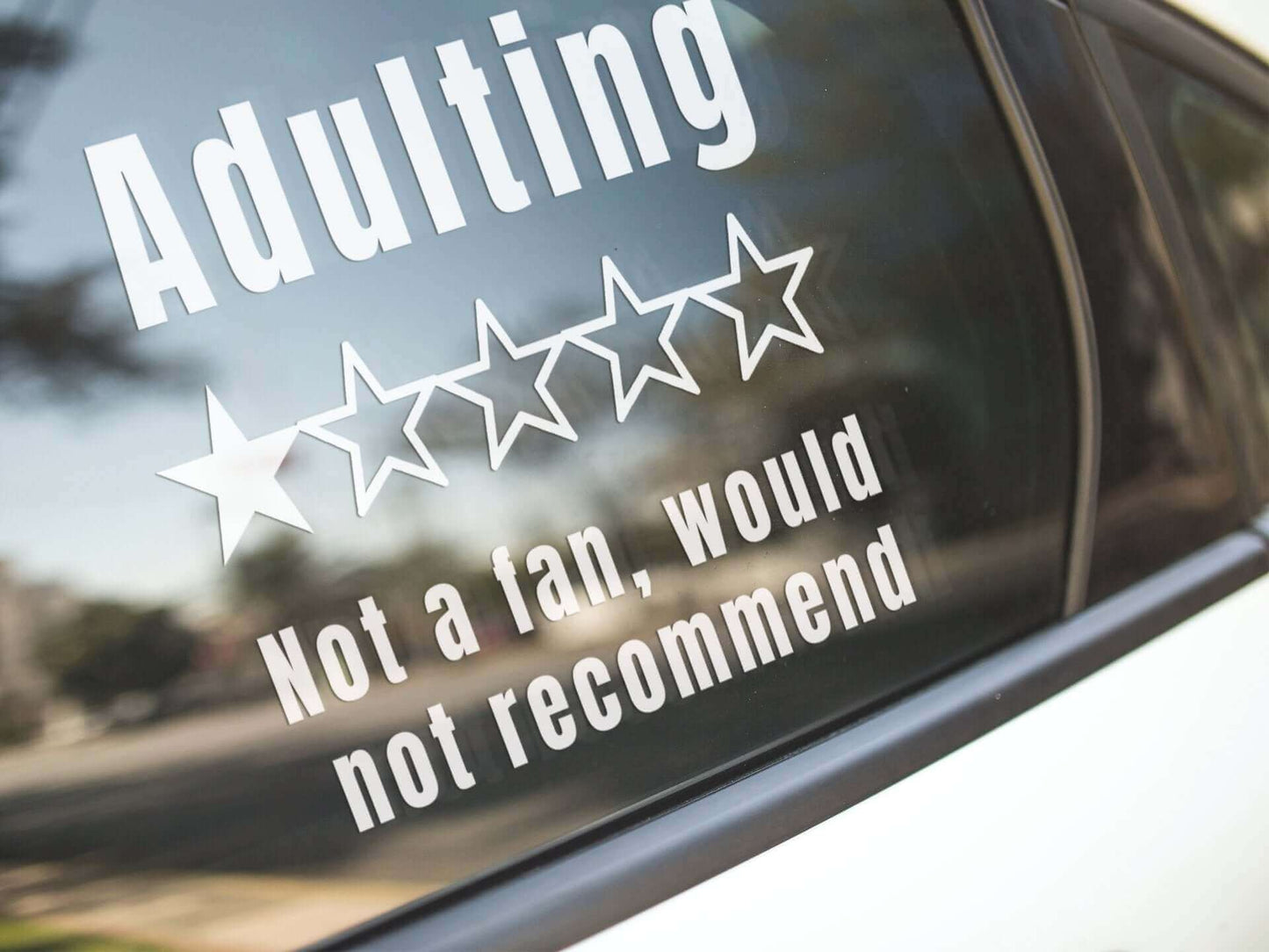 Adulting. Not a fan, would not recommend - Vinyl decal adult adulting adulting not a fan All Die cut stickers FB funny sticker meme sticker sticker stickers vinyl sticker water proof sticker would not recommend