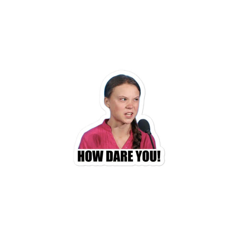 How dare you - refrigerator magnet climate change fridge magnet gasoline engine greta greta magnet greta sticker gretta gretta magnet gretta sticker gretta thurnburg how dare you how dare you magnet
