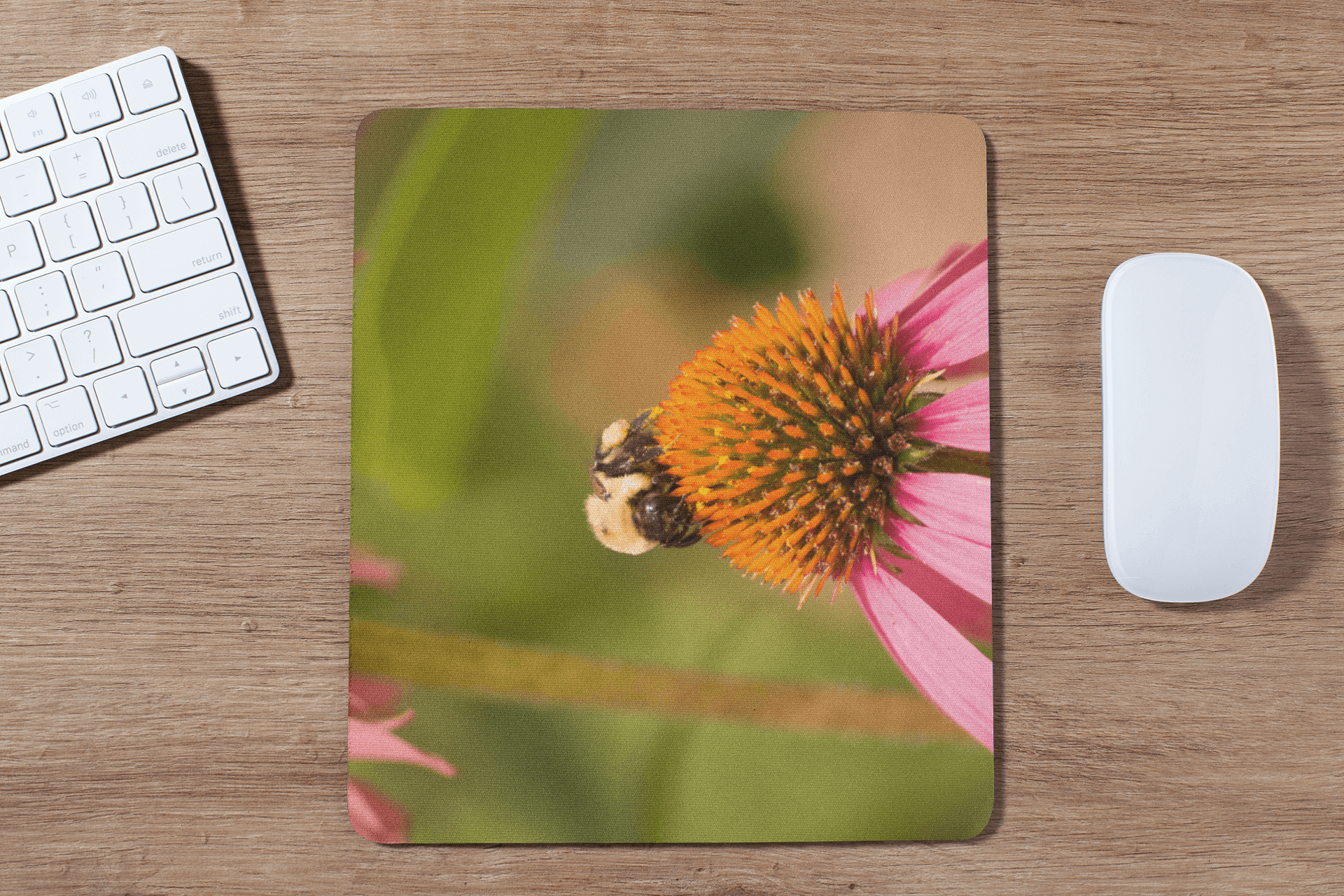 Bee on a cone flower - Mouse pad bee cone flower flower honey bee nature nature mouse pad nature photo worker bee