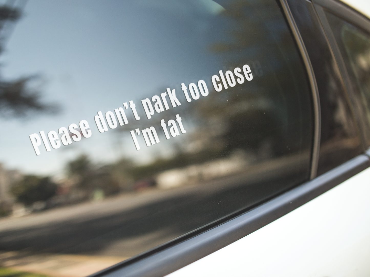 Please don't park too close, I'm fat - Vinyl Sticker