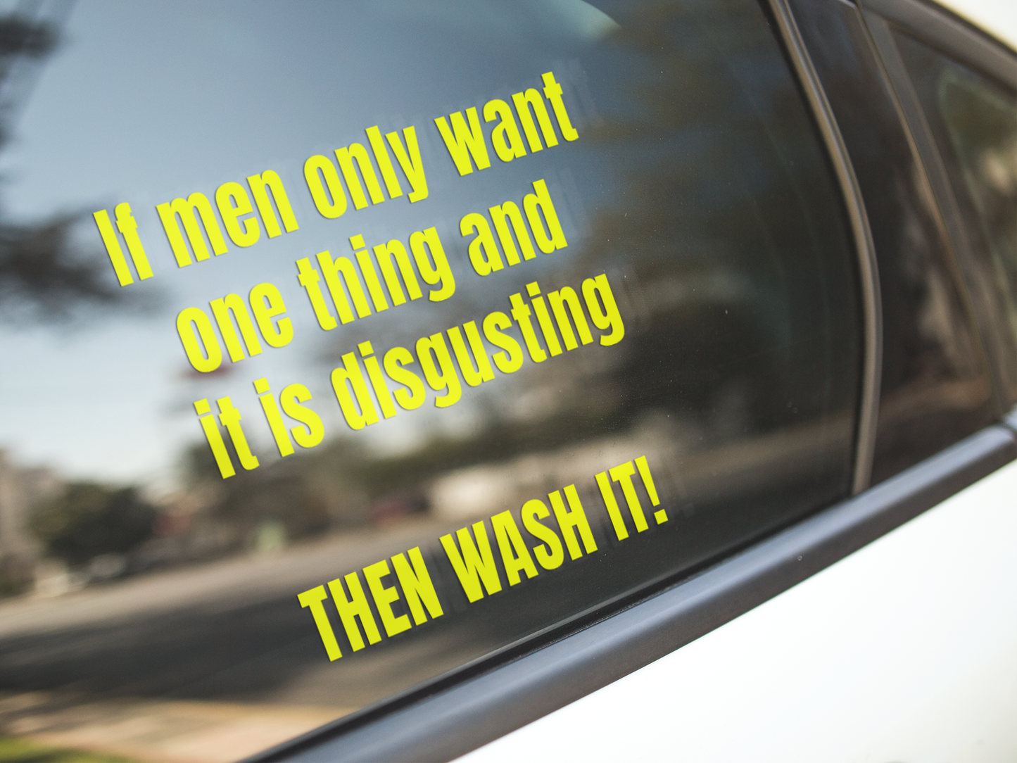 If men only want one thing and it's disgusting, then WASH IT - Vinyl sticker