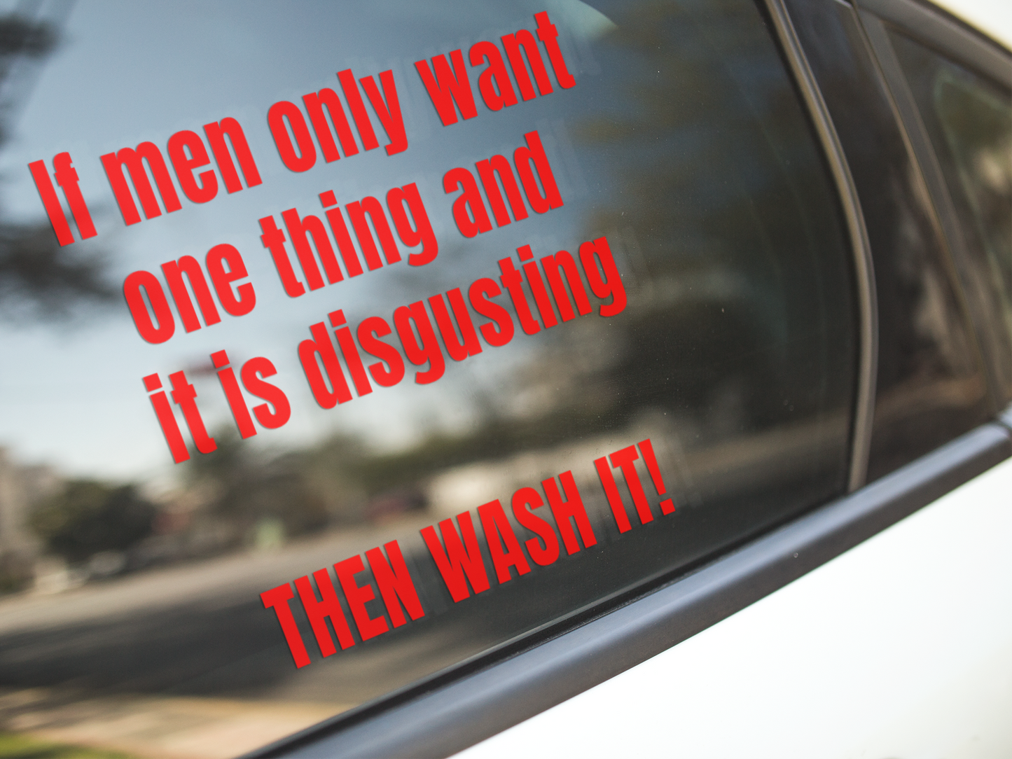 If men only want one thing and it's disgusting, then WASH IT - Vinyl decal bumper sticker car sticker computer sticker Die cut stickers funny sticker funny stickers LOL sticker sarcastic sticker sticker Sticker design Sticker Shop stickers vinyl sticker Vinyl stickers water proof sticker window sticker