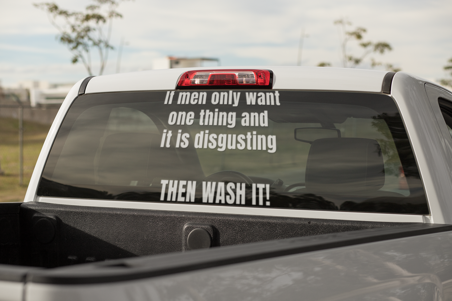 If men only want one thing and it's disgusting, then WASH IT - Vinyl sticker