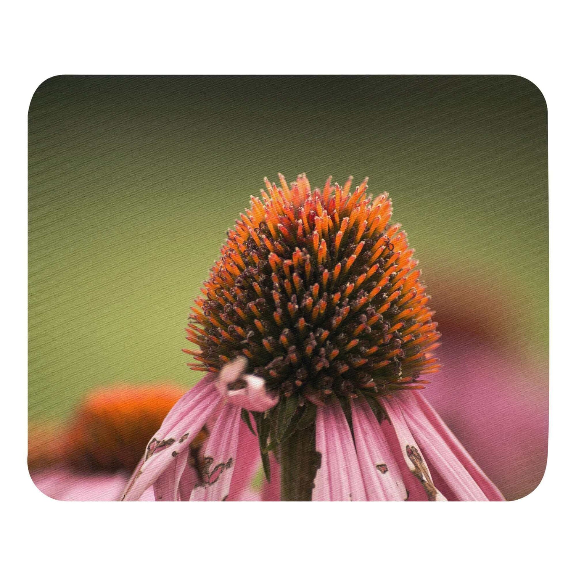 Cone flower up close - Mouse pad - Horrible Designs